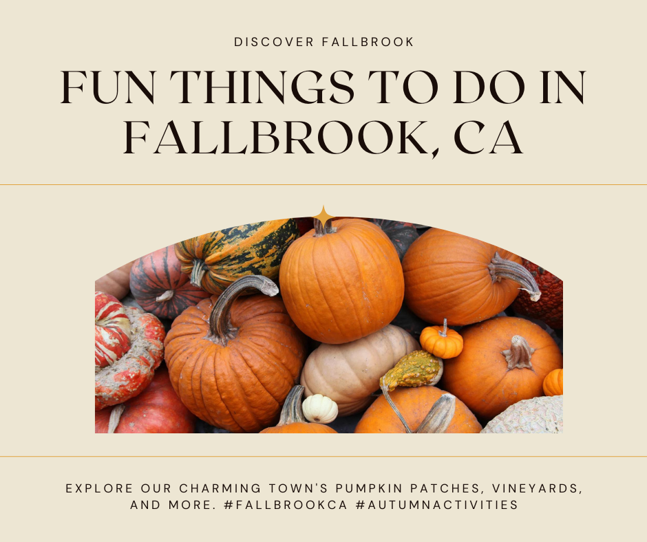 Fun Things to Do in Fallbrook, CA